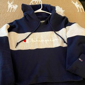Cropped champion hoodie